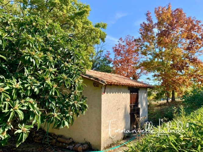 Photos 28 - Rural - Stone estate with outbuildings and 5 hectares of nature – Monbazillac (24240)