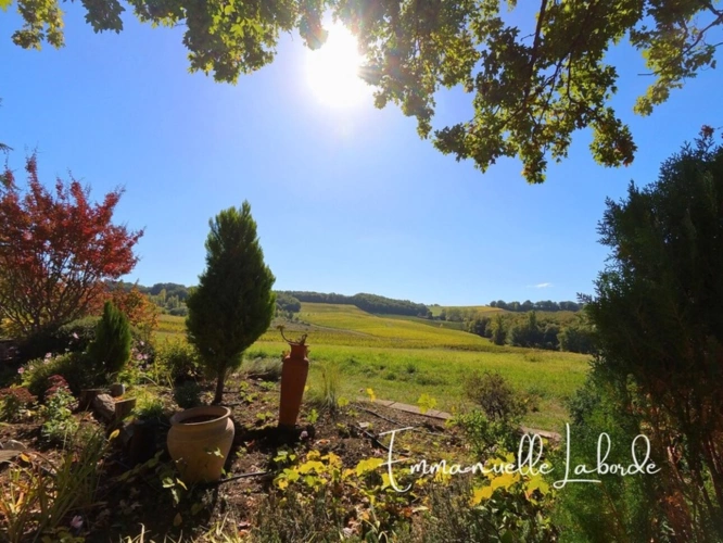 Photos 35 - Rural - Stone estate with outbuildings and 5 hectares of nature – Monbazillac (24240)