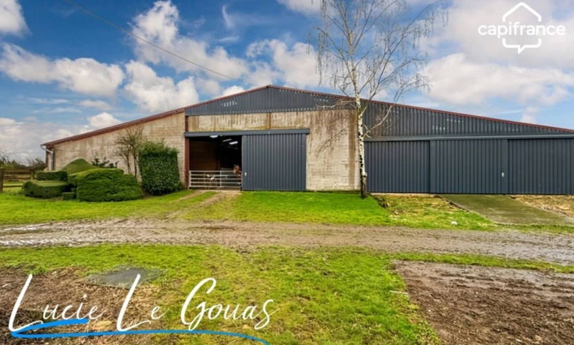 Photos 21 - Équestre - Ensemble immobilier rare sur plus de 4 hectares – Idéal projet équestre, gîte ou grande famille