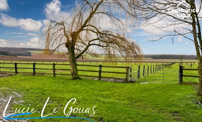 Photos 23 - Équestre - Ensemble immobilier rare sur plus de 4 hectares – Idéal projet équestre, gîte ou grande famille