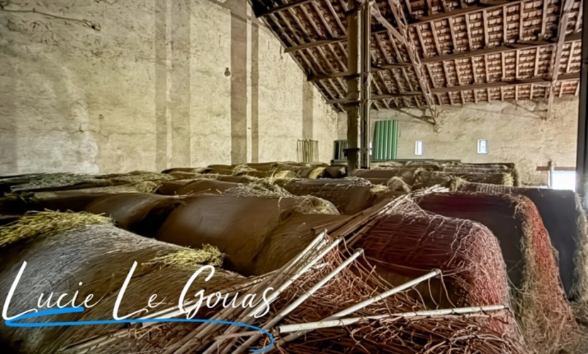 Photos 24 - Équestre - Ensemble immobilier rare sur plus de 4 hectares – Idéal projet équestre, gîte ou grande famille