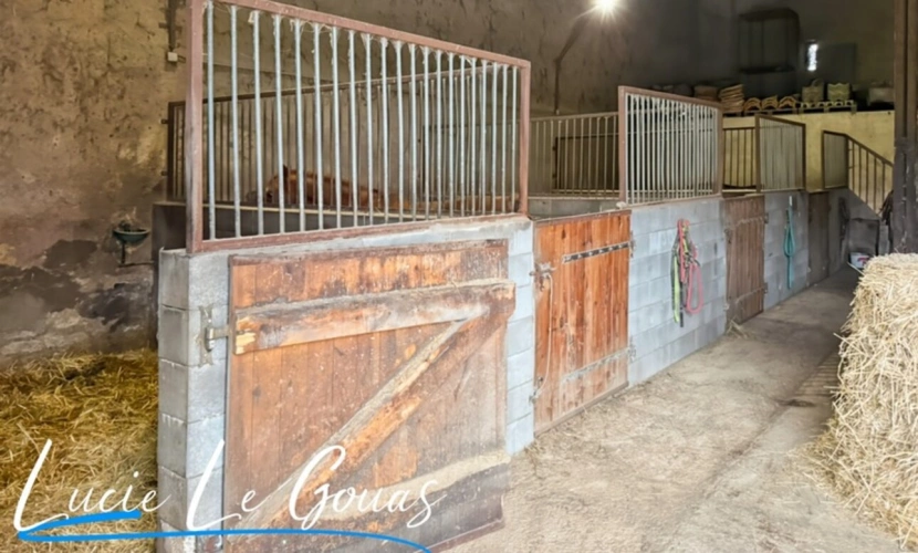Photos 25 - Équestre - Ensemble immobilier rare sur plus de 4 hectares – Idéal projet équestre, gîte ou grande famille