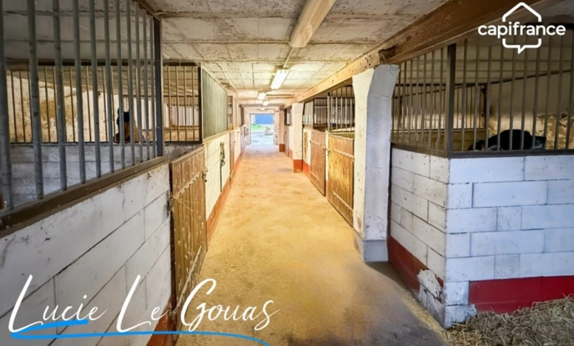 Photos 27 - Équestre - Ensemble immobilier rare sur plus de 4 hectares – Idéal projet équestre, gîte ou grande famille