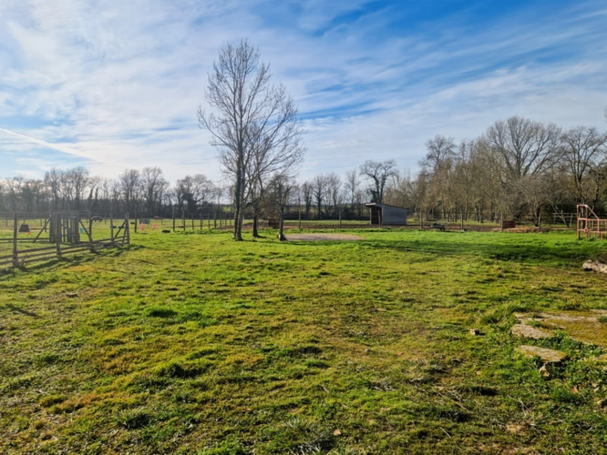 Photos 11 - Prestige - Propriete à vendre 7 pièces- 227 m² habitables - proche de SAINTES(17) 2 100 m² de terrain