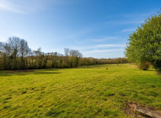 Photos 6 - Rurale - Maison de campagne