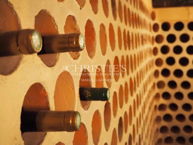 Photos 27 - Prestige - Région Saint-Emilion - Château de caractère à fort potentiel