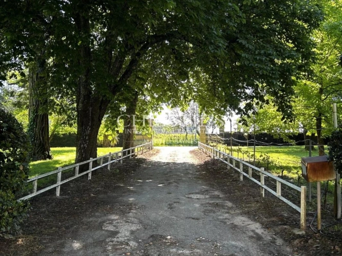 Photos 5 - Viticole - Domaine viticole avec une belle superficie, une demeure de charme et un gîte