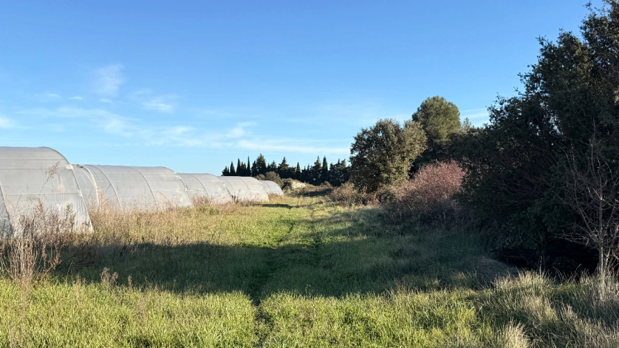 Photos 10 - Equestrian - Alpilles - 6.6 hectare estate with two accommodations