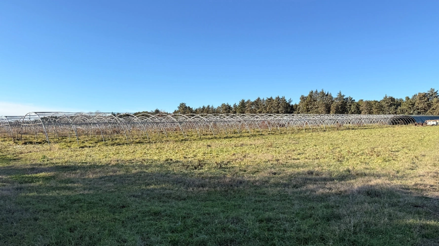 Photos 11 - Equestrian - Alpilles - 6.6 hectare estate with two accommodations