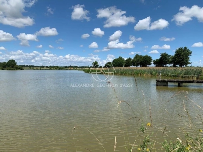 Photos 4 - Prestigious - Superbe château Renaissance en Anjou