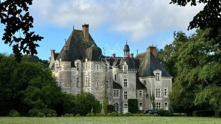 Photos 5 - Prestigious - Superbe château Renaissance en Anjou