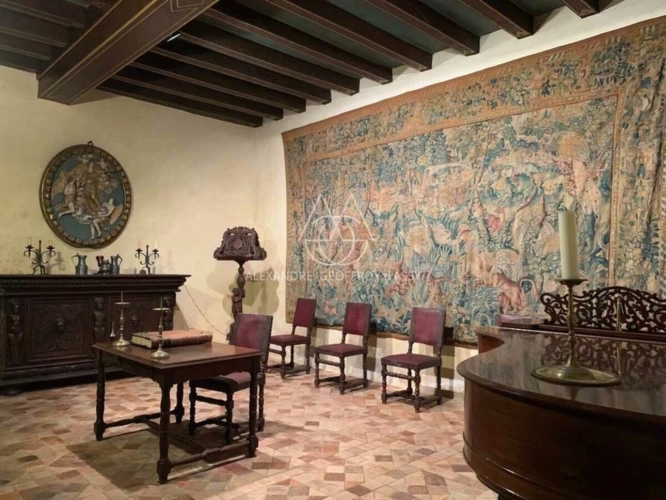 Photos 8 - Prestigious - Superbe château Renaissance en Anjou