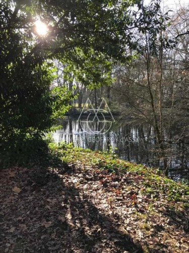 Photos 12 - Prestigious - Superbe château Renaissance en Anjou