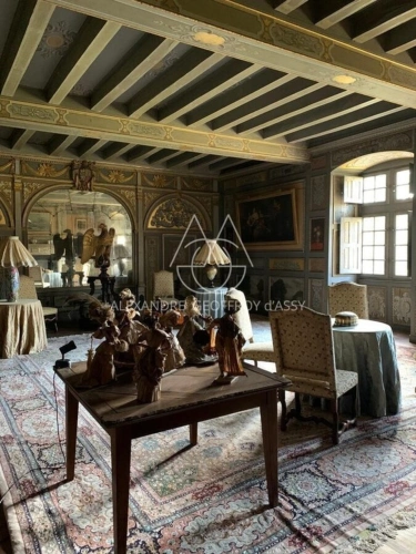 Photos 13 - Prestigious - Superbe château Renaissance en Anjou