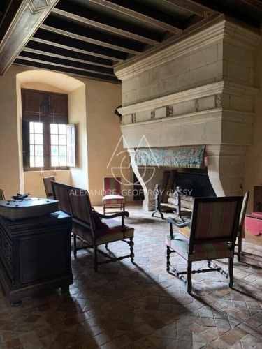 Photos 15 - Prestigious - Superbe château Renaissance en Anjou