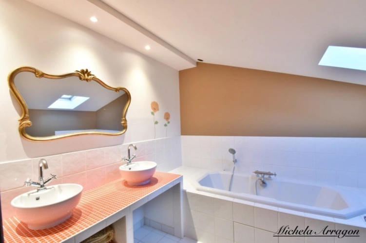 Photos 15 - Touristique - Propriete à vendre 11 pièces LACEPEDE (47)