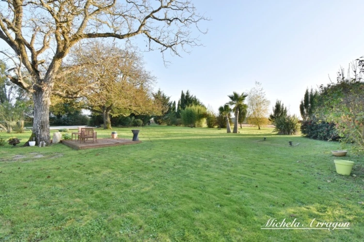 Photos 31 - Touristique - Propriete à vendre 11 pièces LACEPEDE (47)