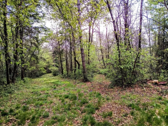 Photos 15 - Rurale - Maison et terrain