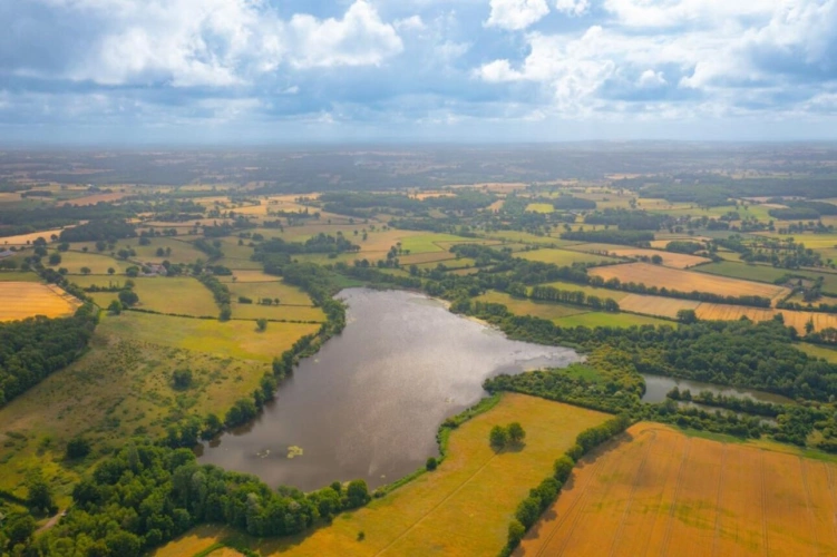 Photos 1 - Prestige - Propriété