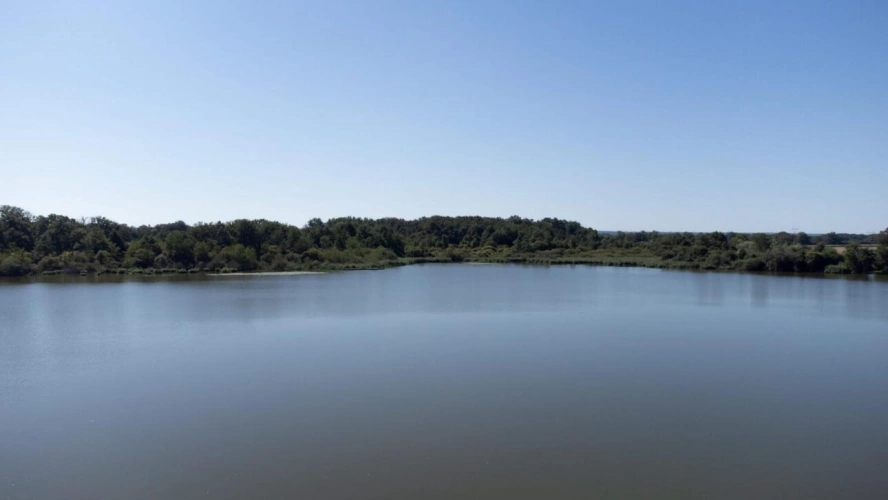 Photos 11 - Prestige - Propriété