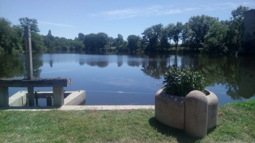 Photos 14 - Prestige - Propriété