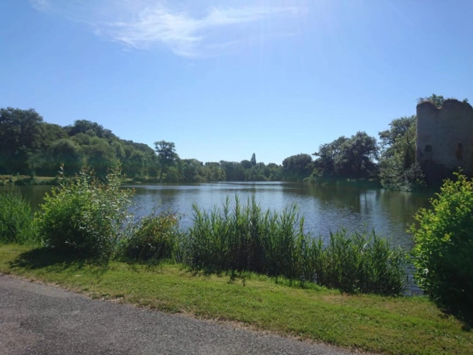 Photos 15 - Prestige - Propriété