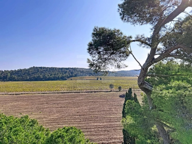 Photos 12 - Touristique - Propriété viticole