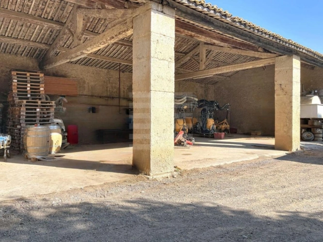 Photos 16 - Touristique - Propriété viticole