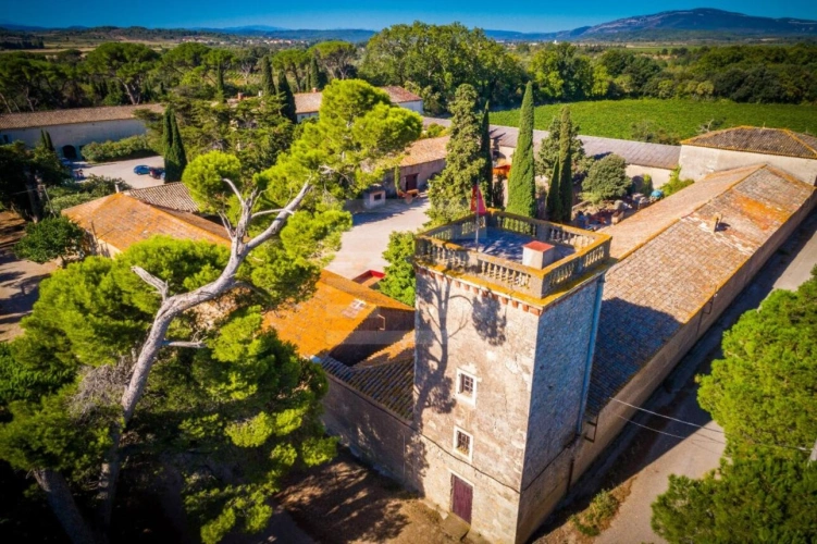 Photos 17 - Touristique - Propriété viticole