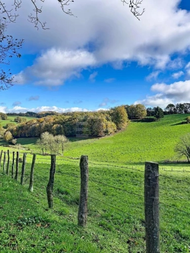 Photos 3 - Agricultural - Farming property