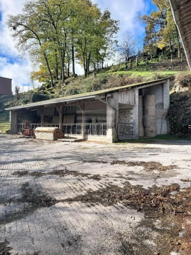 Photos 4 - Agricultural - Farming property