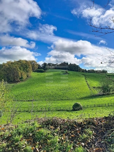 Photos 5 - Agricultural - Farming property