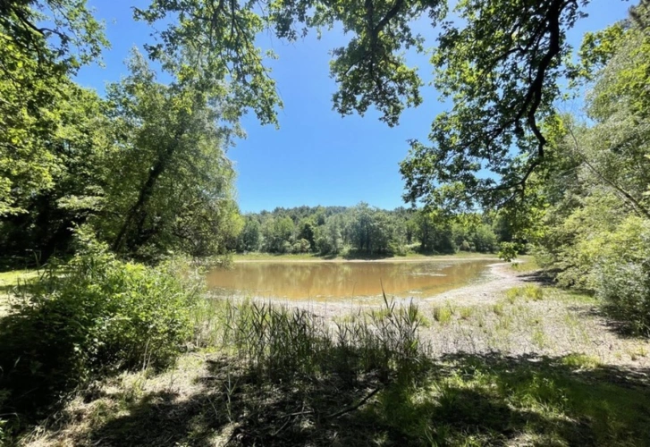 Photos 27 - Prestige - Propriete à vendre 16 pièces proche de BARBEZIEUX SAINT HILAIRE (16) sur 8.5 ha