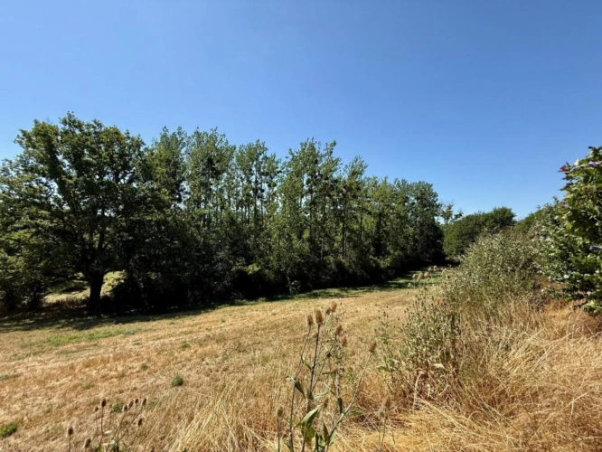 Photos 17 - Rurale - Maison