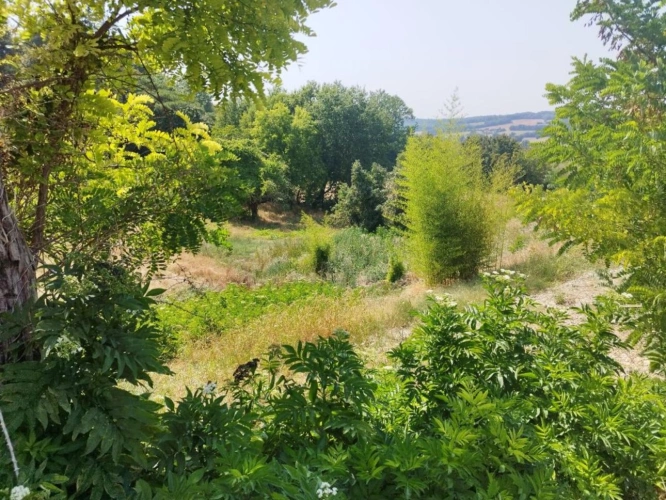 Photos 13 - Rurale - Maison bourgeoise