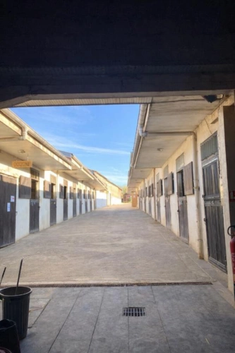 Photos 3 - Équestre - Propriété équestre avec habitations Clefs en main, Praye (54116)