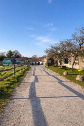 Photos 5 - Équestre - Propriété équestre avec habitations Clefs en main, Praye (54116)