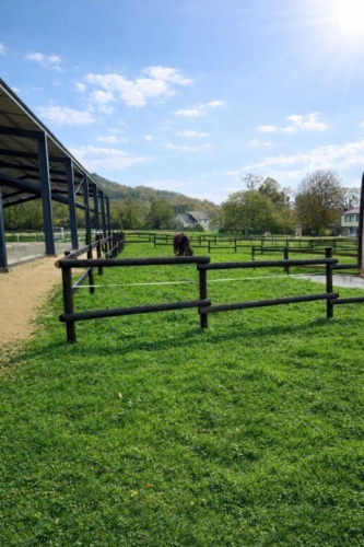 Photos 6 - Équestre - Propriété équestre avec habitations Clefs en main, Praye (54116)