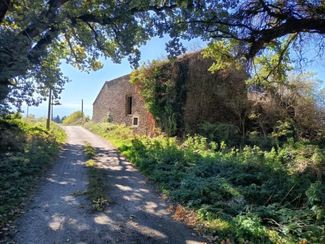 Photos 1 - Rurale - Corps de ferme