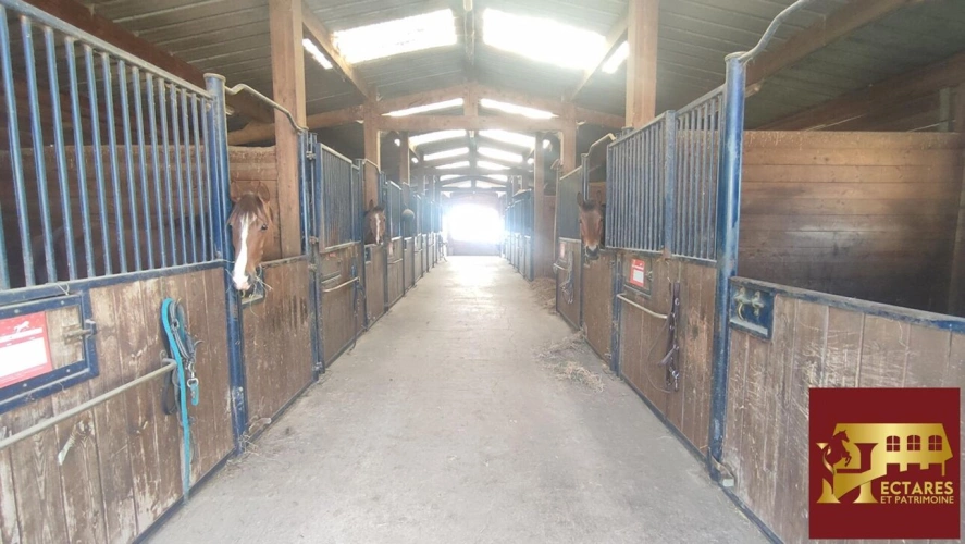 Photos 10 - Equestrian - Habitation et écurie sur 4,1 hectares