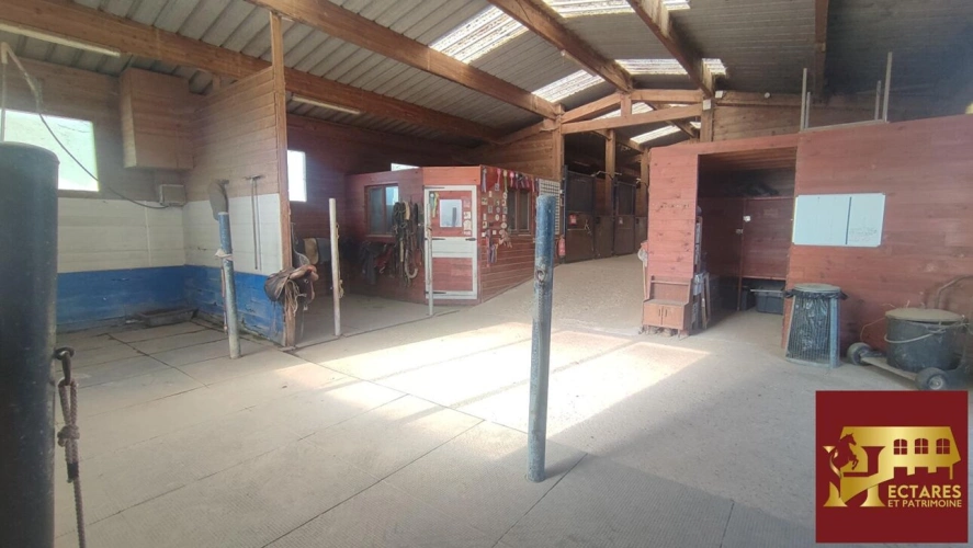 Photos 11 - Equestrian - Habitation et écurie sur 4,1 hectares