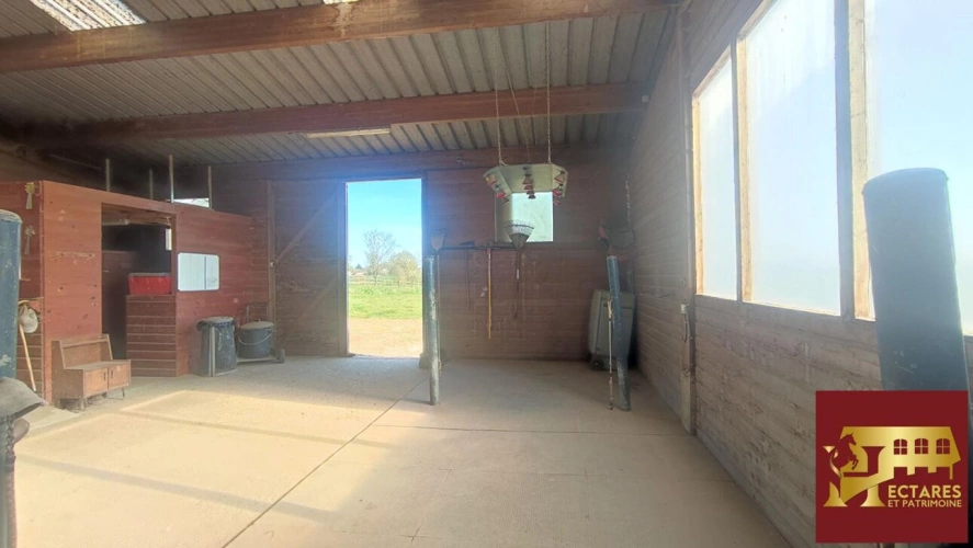 Photos 12 - Equestrian - Habitation et écurie sur 4,1 hectares