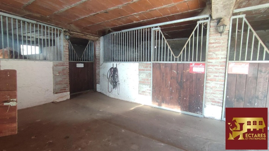 Photos 13 - Equestrian - Habitation et écurie sur 4,1 hectares