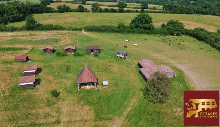 Photos 3 - Équestre - Centre de vacances 10 hectares attenants