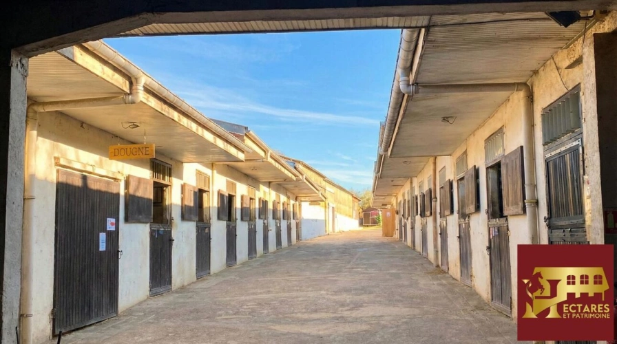 Photos 3 - Équestre - Propriété équestre avec habitations Clefs en main, Praye (54116)