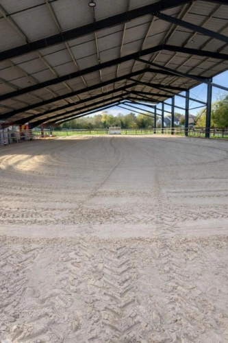 Photos 6 - Équestre - Propriété équestre avec habitations Clefs en main, Praye (54116)