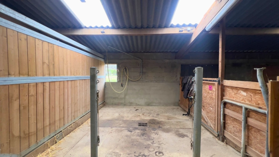 Photos 10 - Équestre - Tarn-et-Garonne - Propriété équestre de 3,2 hectares (82)