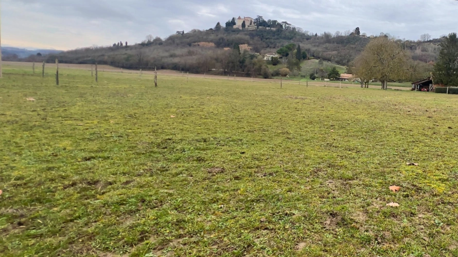 Photos 14 - Équestre - Tarn-et-Garonne - Propriété équestre de 3,2 hectares (82)