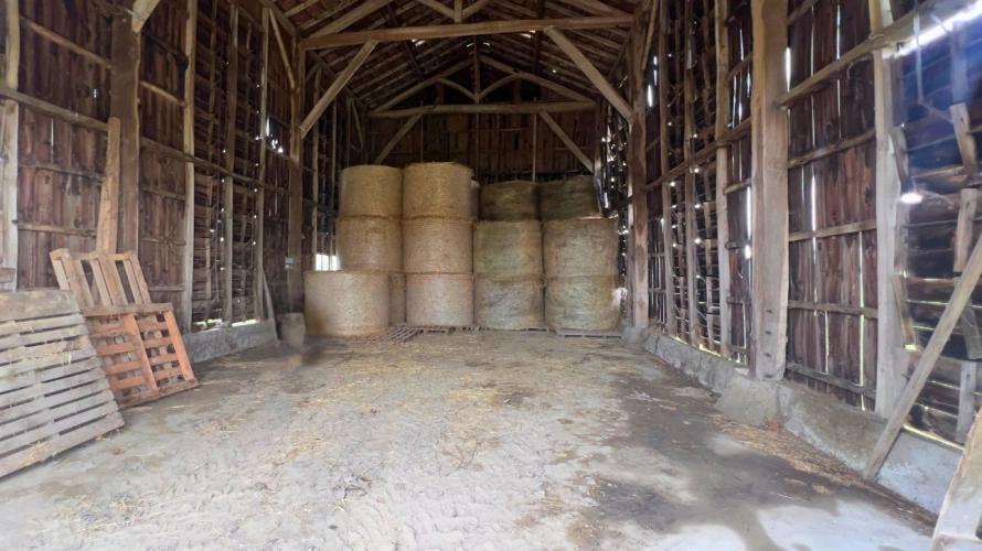 Photos 15 - Équestre - Tarn-et-Garonne - Propriété équestre de 3,2 hectares (82)