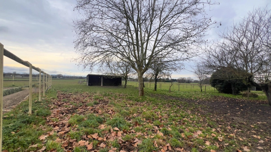 Photos 16 - Équestre - Tarn-et-Garonne - Propriété équestre de 3,2 hectares (82)